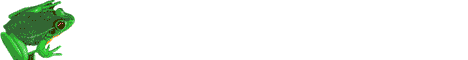 kouaa.com les sites de qualit�